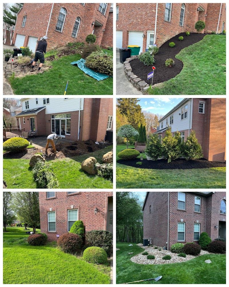 project photo
